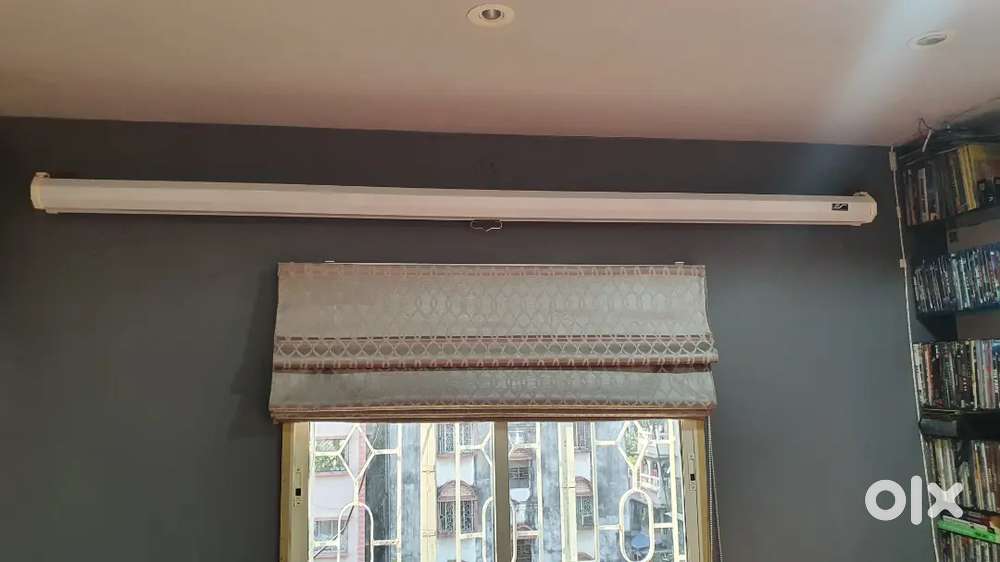 Projector and screen