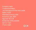 Wanted male picker and loader  in Kondapur