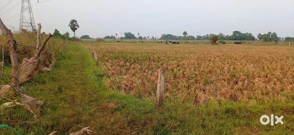 20 cents ,960 gajam , gajam =6000,in west  20feet road