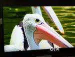 SAMSUNG ULTRA HD TV