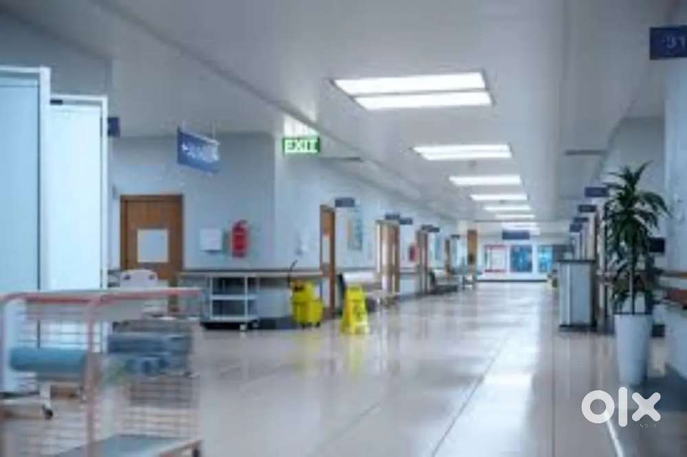 Wanted male/female hospital attenders  freshers  with Daily 600 rs