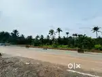 43 & 60 Cents Commercial land - Mani, Rajkamal hall ( Urgent Sale!)