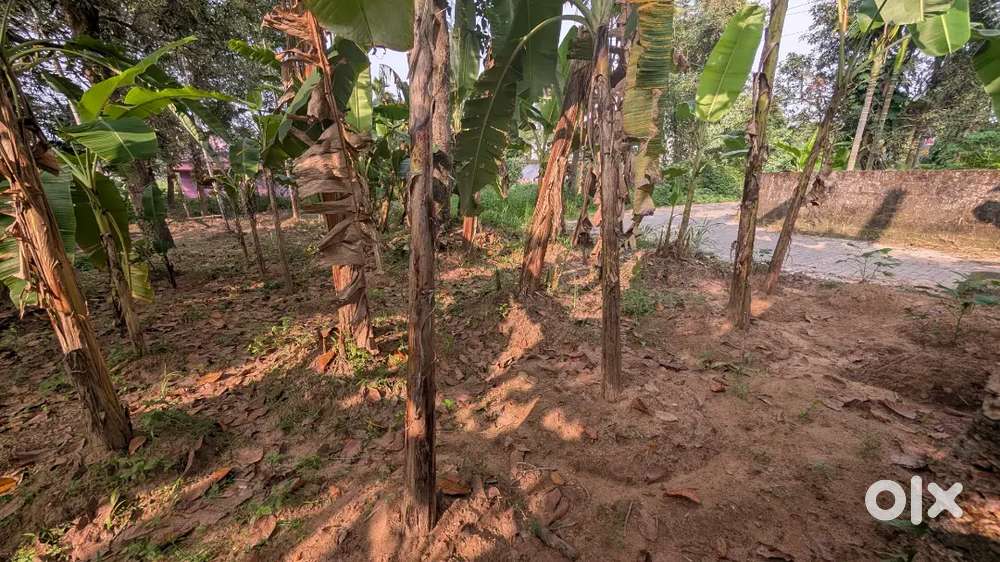 Plots for sale near Thiruvamkulam