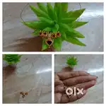 Onam special collection