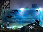 Aquarium for sale