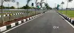 REDHILLS ALAMATHI
