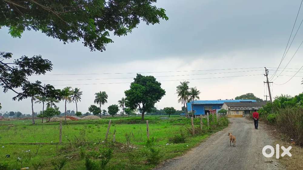Prime Approved Layout Land for Sale at Nalur Village, Minjur