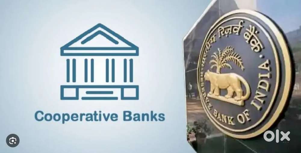 Govt undertaking Credit Co Operative Bank Required Office Staff