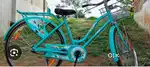 Good condition and new cycle