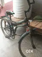 Racing cycle