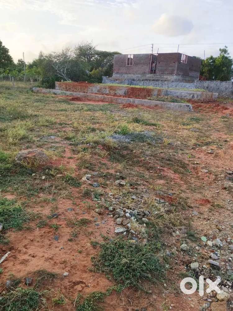 House plot -plot type goverment residential plot type -1