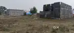 residential plot 2300sq.ft amleshwar मै(urgent sale)