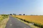 20 bheegha on road agriculture land near jewar airport
