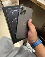 Iphone 12 pro available