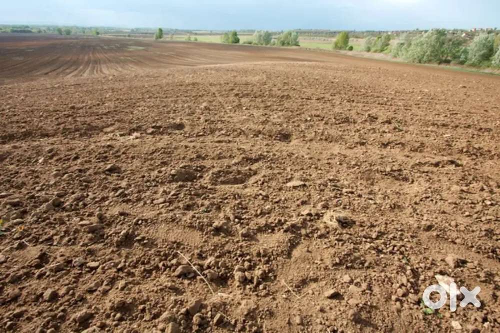 Pamuluru between Vijayawada to machilipatnam road ,