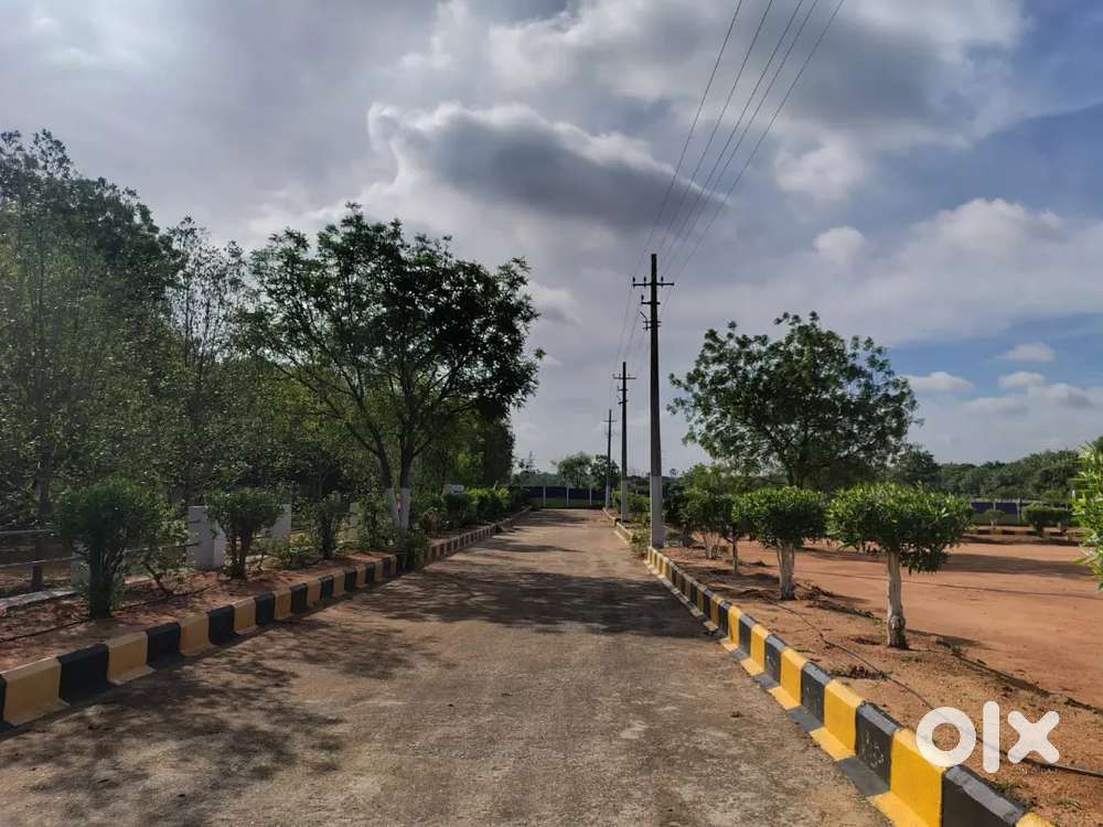 Near cheeryal main road open plots for sale