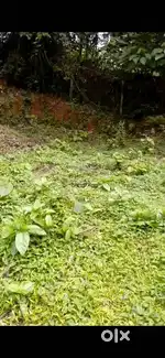 6.5 HOUSE PLOT FOR SALE NEAR VANIYAMKULAM