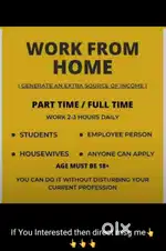 Work from home for student housewife &  job parson
