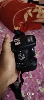Urgent sell korbo