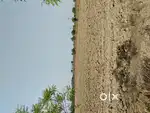 PREMIUM 2-ACRE LAND FOR SALE – BEST LOCATION IN SALOD (PALOTI ROAD)