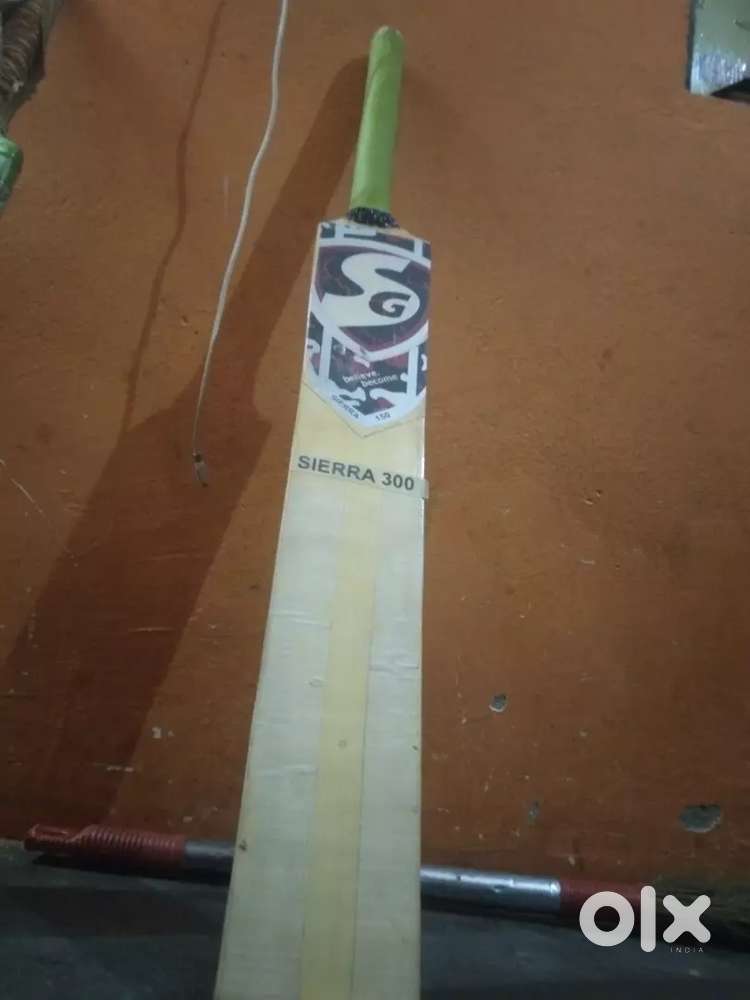 SG Wooden Bat premium