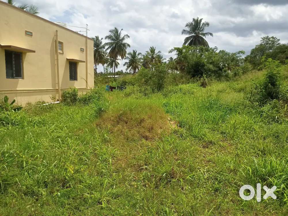 Low budget land sale in kottaiprivu