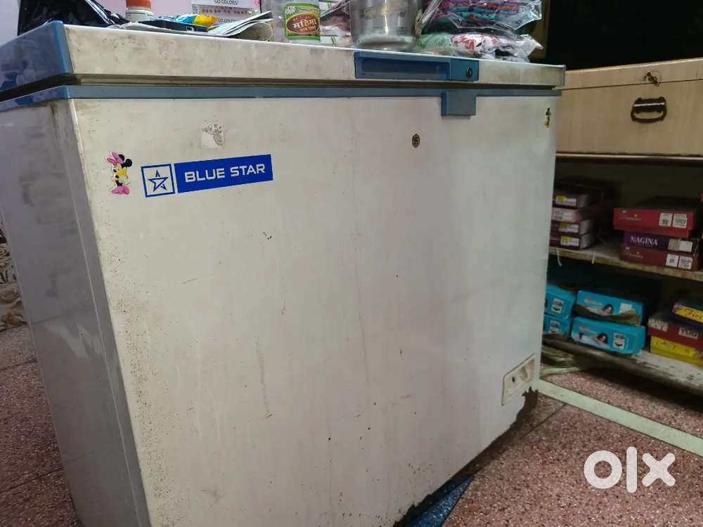 Blue star D fridge