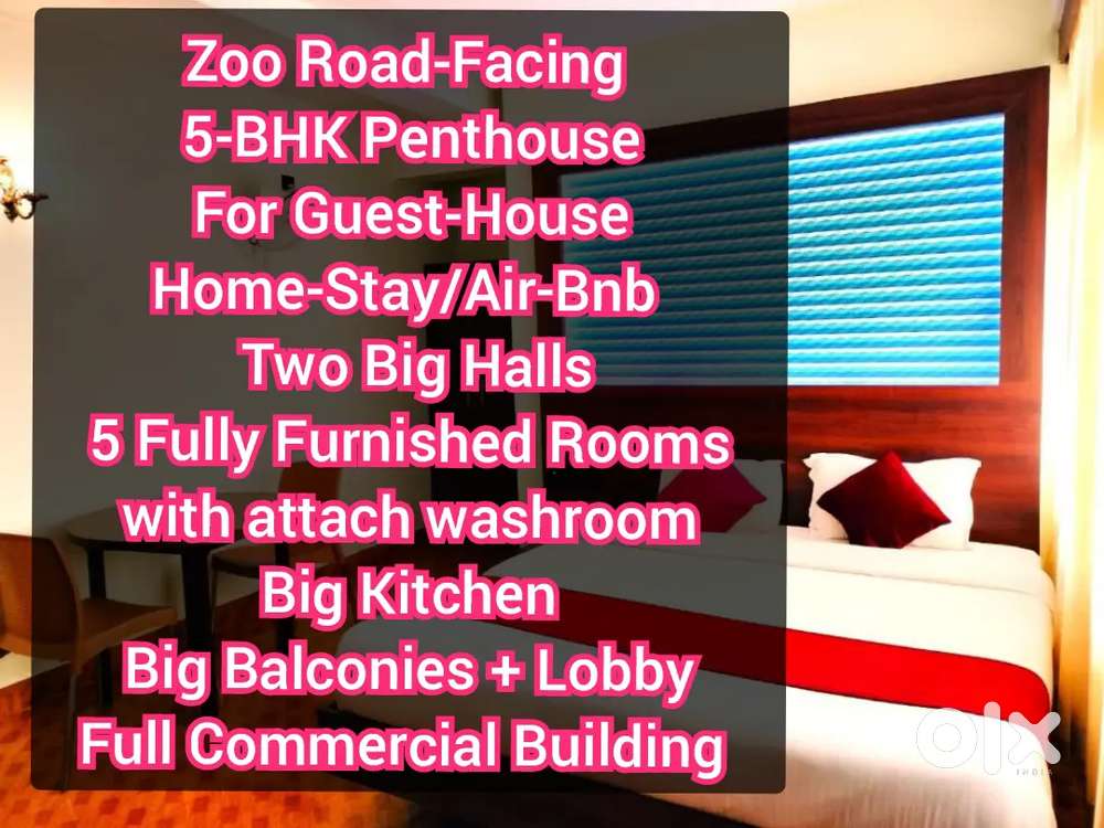 Furnished 5-BHK Penthouse with 2 Big Halls Lobby Kitchen 4 Guest House