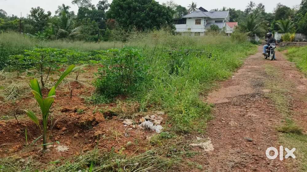 ഇത്തിത്താനം 12 cent house plot.4.5. lakh.
