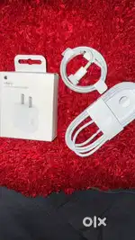 APPLE CHARGER AND CABLE