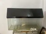 Aquarium in good condition