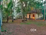 14 cent Residential plot at 2.25 lakh / cent
