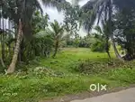 Diglipur negotiable price land sale !!