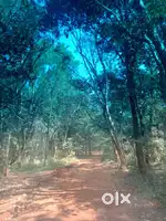 FARM ,  IRRIGATION,2 ACRES ,30 KM FROM BELGAUM