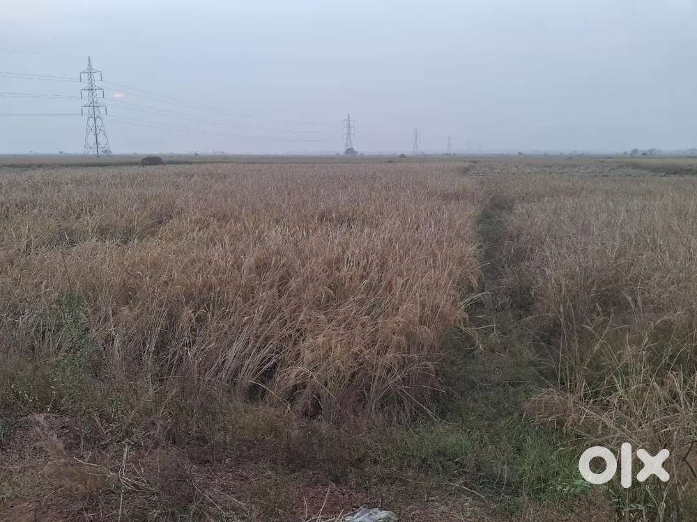 5 acres land nr.Argul st.attached with revenue rd for firmhouse@20L