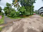 23 Cent Aluva,Muppathadam Plot.Tar road frontage.