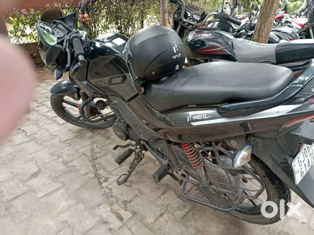 Passion PRO 2021 Company Insurance