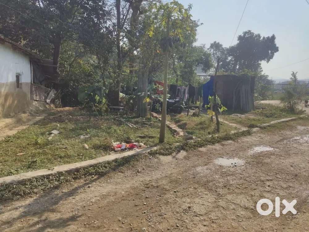 186 gaj land Arcadia grant