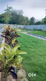 PLOT IN NEAR HARSHA GARDEN