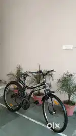 Bicycle Hercules