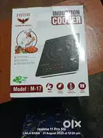 Induction chula