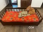 Sofa cum Bed