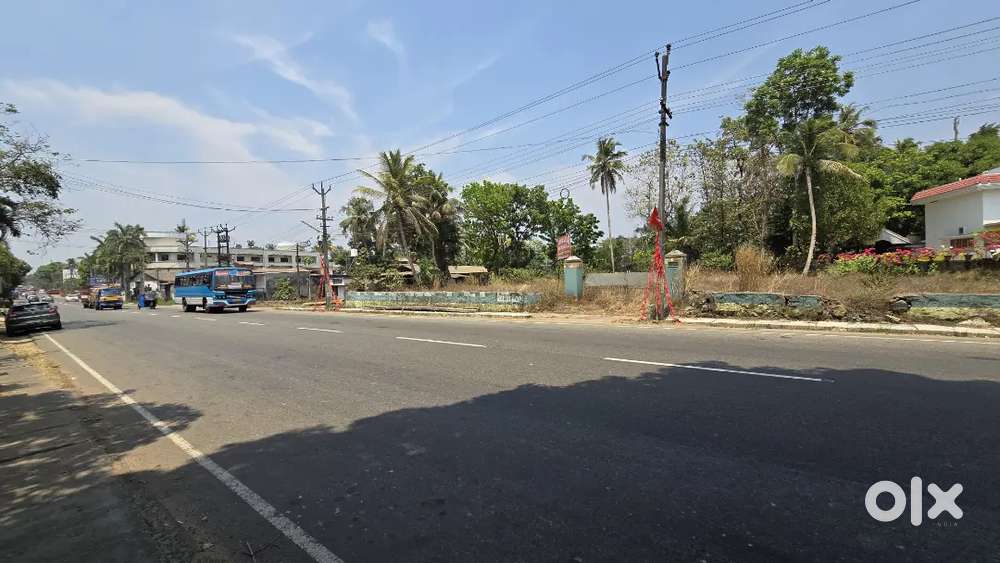 Angamaly kalady MC road frontage 40 cent plot for sale immediately
