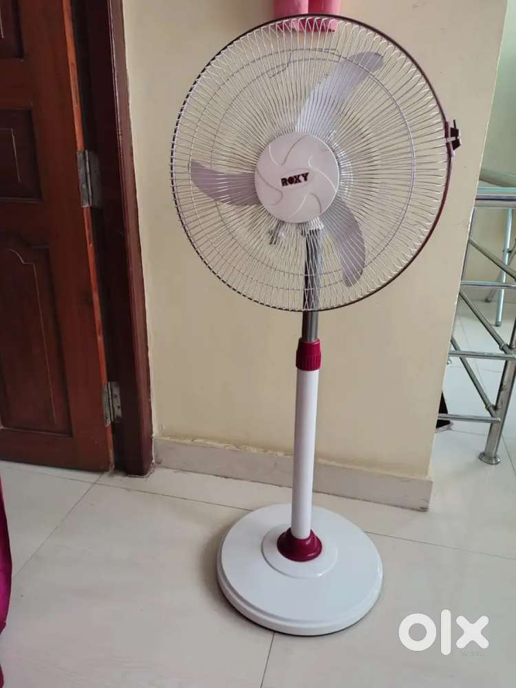 Roxy stand fan