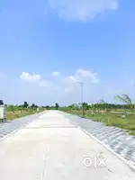 Premium plot