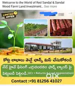 ఒకే పెట్టుబడి రెండు లాభాలు 1. భూమి మీద ఉచ్చ ఆదాయం , 2 ఎర్రచందనం మీద  .