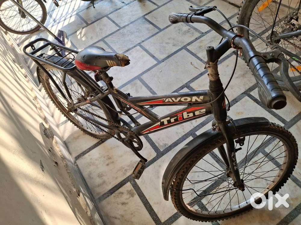 Avon cycle