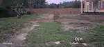 3 bigha land for sale Dibrugarh lezai near dewnbari urgent sale fixed