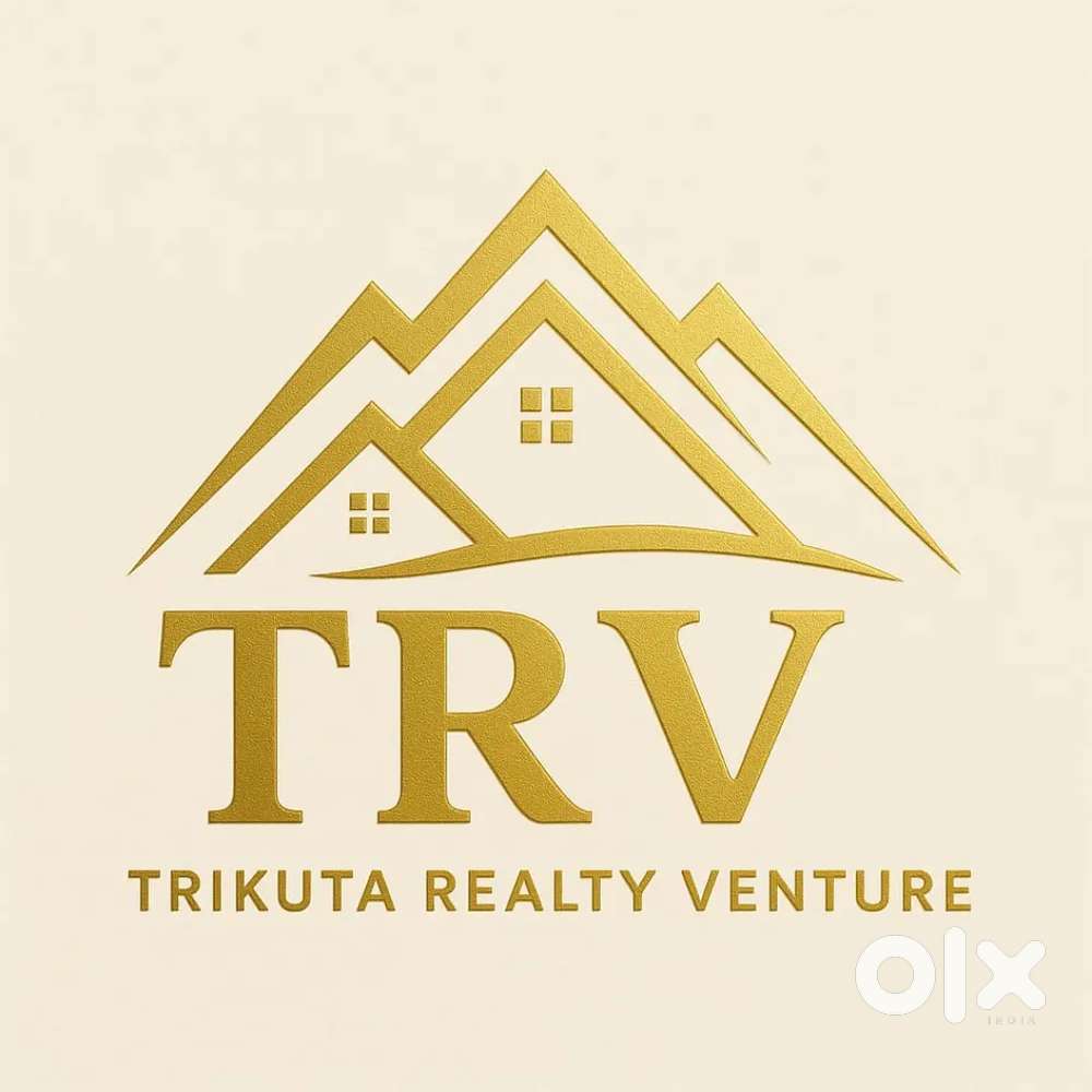 Sales Executive