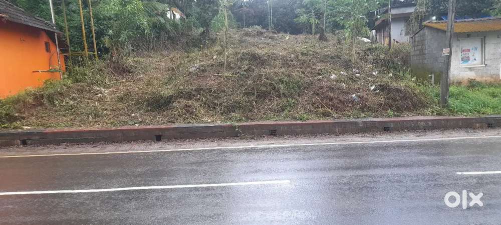 Super house plot or comercial plot Manathavady